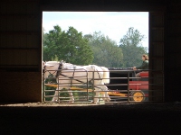 Through the barn door