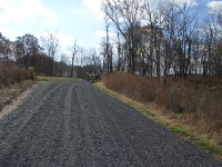 The road to the new picnic area