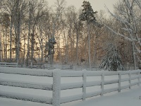 Snow frosted fence